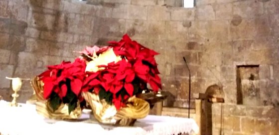 CONCERTO DI NATALE